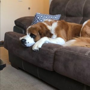 Meet your Posher, Stefanie